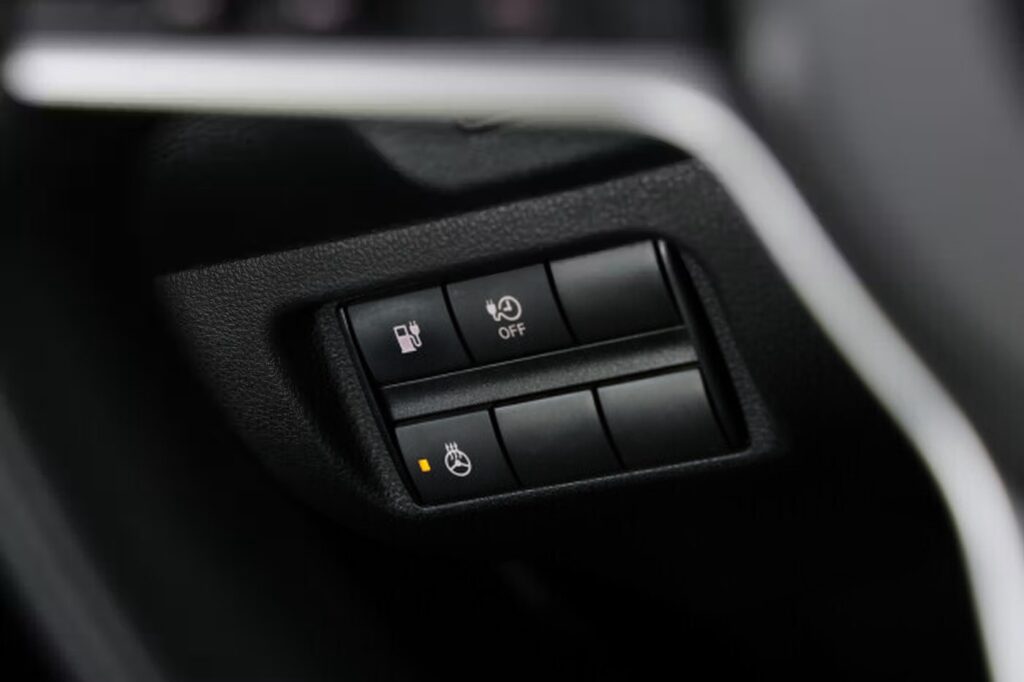 Nissan Leaf II