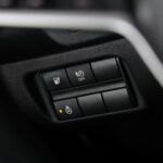 Nissan Leaf II