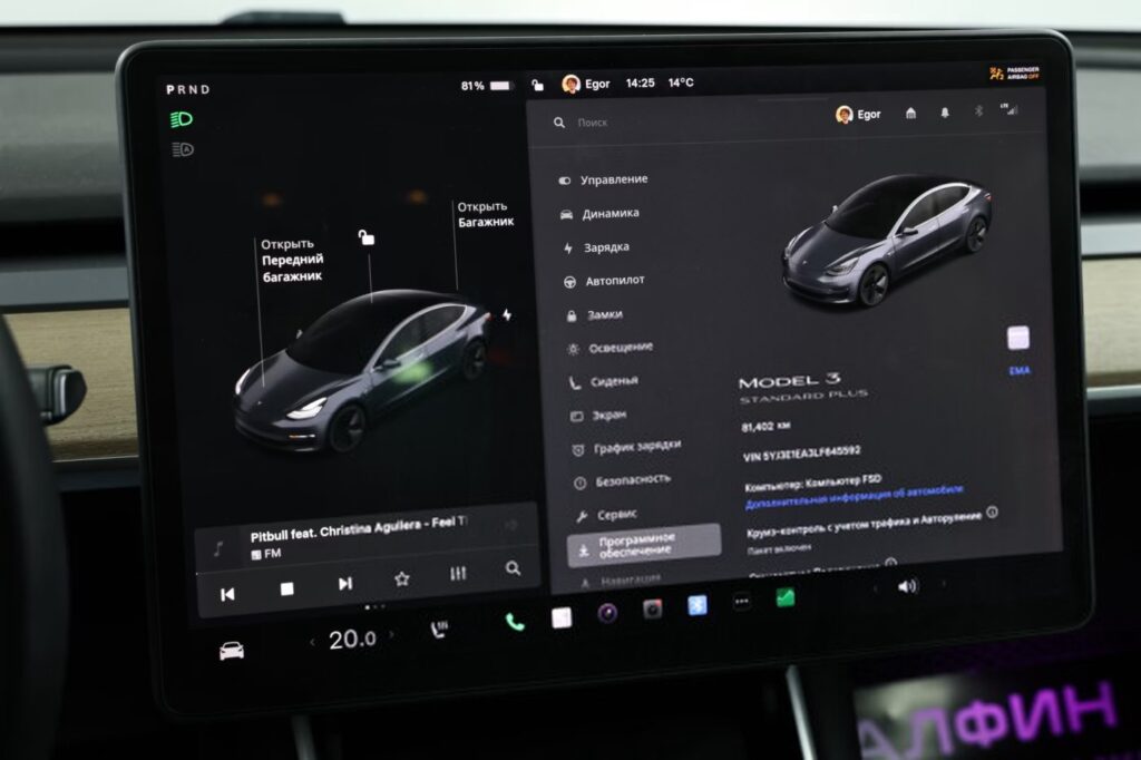 Tesla Model 3 I